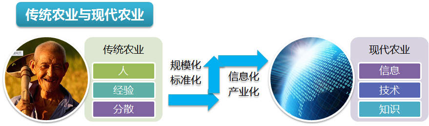 智能農業(yè)物聯(lián)網監(jiān)控系統(tǒng)