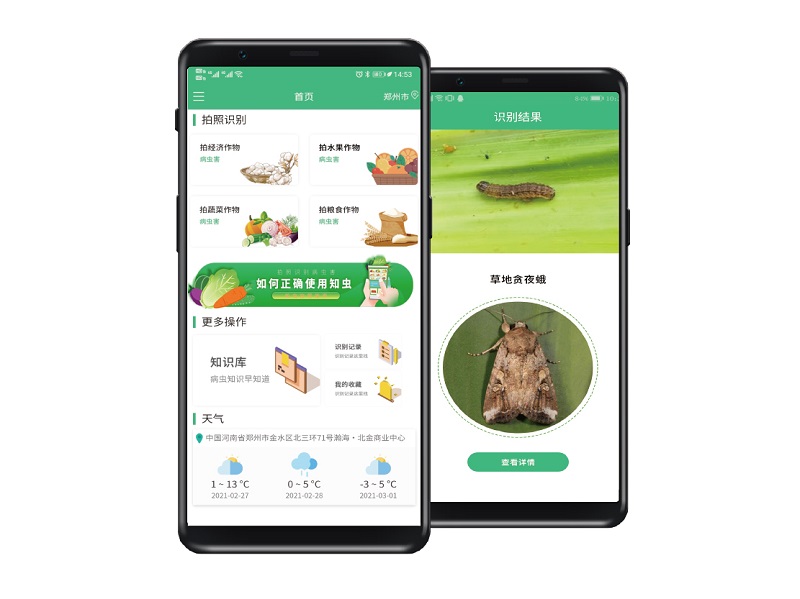 知蟲APP
