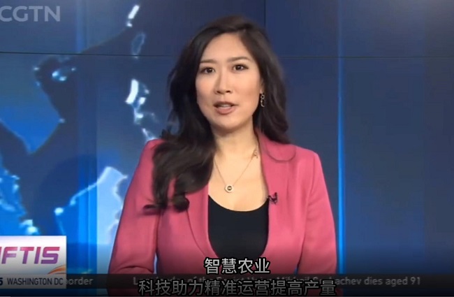 ЇHCGTN ҕЇ롷(ji)Ŀ^ꖸߘ(bio)r(nng)ʾ^(q)